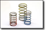 Tial MVR Springs